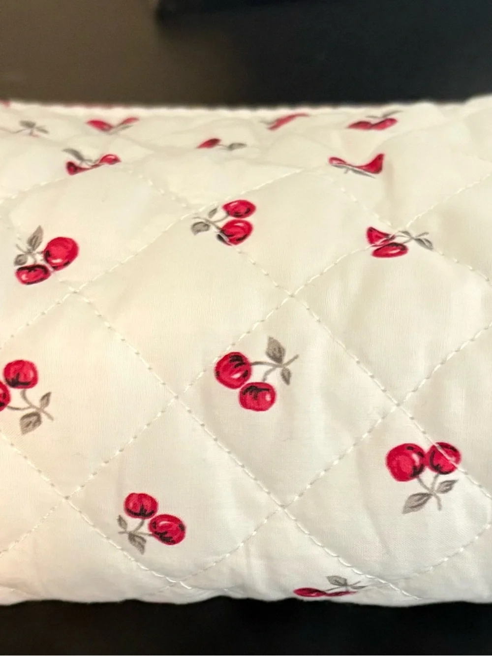 Make up bags set of three